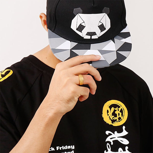 GeoPanda Snapback