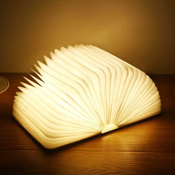 The Luminous Pages Book